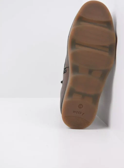 Akita HV - brons leer