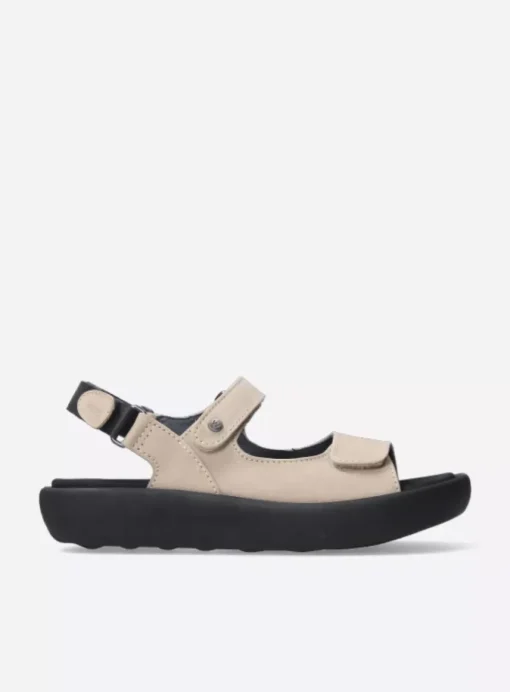 Celine XW - safari nubuck