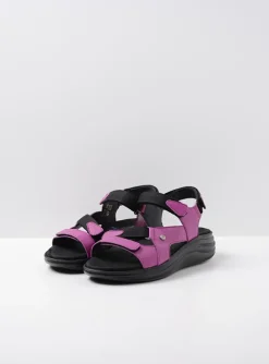 Cirro - fuchsia leer