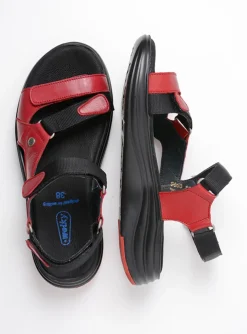 Cirro - rood leer