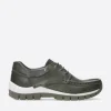 Fly - cactus leer