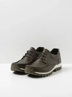 Fly - cactus leer