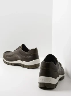 Fly - cactus leer
