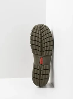 Fly - cactus leer