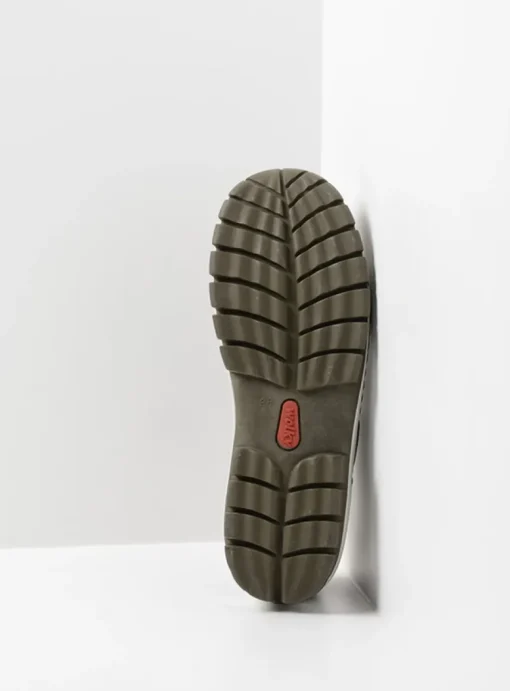 Fly - cactus leer