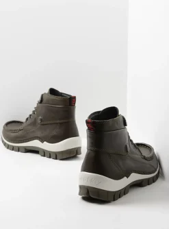 Jump - cactus leer