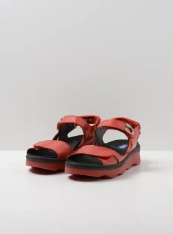 Medusa - rood leer