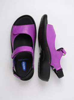 Salvia - fuchsia leer